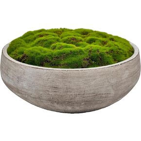 Moss Bowl | 8" Diameter | Artificial | Hand-Painted Cement Bowl | Home Décor (8" Diameter)
