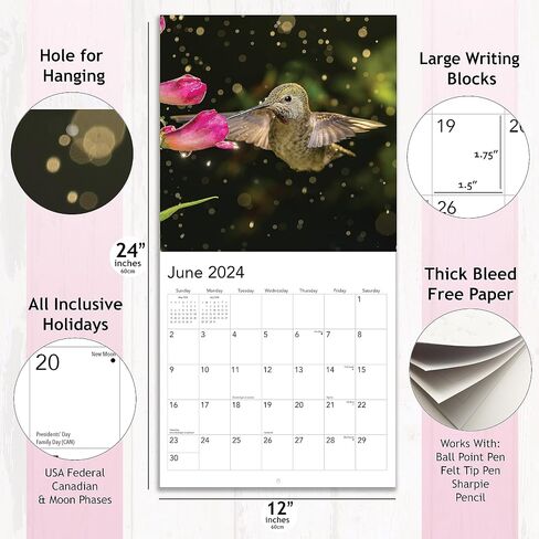 2024 Hummingbirds Hangable Wall Calendar Monthly - Beautiful Wildlife Bird Photo Gift - Birds Nature Photography - Gifting for Him Her- Sturdy 12" Large Full Page 16 Months Organizing & Planning - in Saudi Arabia