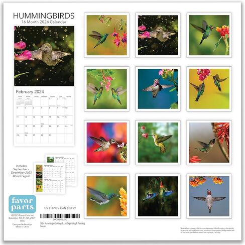 2024 Hummingbirds Hangable Wall Calendar Monthly - Beautiful Wildlife Bird Photo Gift - Birds Nature Photography - Gifting for Him Her- Sturdy 12" Large Full Page 16 Months Organizing & Planning - in Saudi Arabia