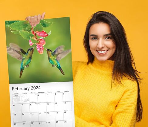 2024 Hummingbirds Hangable Wall Calendar Monthly - Beautiful Wildlife Bird Photo Gift - Birds Nature Photography - Gifting for Him Her- Sturdy 12" Large Full Page 16 Months Organizing & Planning - in Saudi Arabia