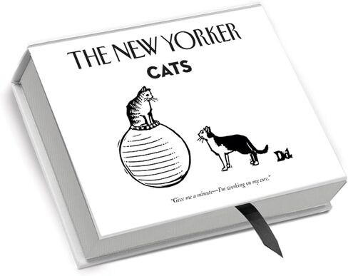 – Cat Cartoons Boxed Notecards in Saudi Arabia