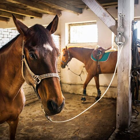 3 عبوات من حلقات ربط الخيول، حلقة ربط للخيول، ملحقات تدريب الخيول من الفولاذ المقاوم للصدأ 304 لمقطورات الخيول الداخلية والخارجية، أدوات حصان آمنة ومتينة بطريقة إنسانية in Kuwait