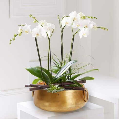 Serene Spaces Living Decorative Gold Iron Handi Bowl with Handle: Large Centerpiece in Traditional Indian Style for Home, Diwali, Potpourri, Single, 3.75" Tall & 9" Diameter in Saudi Arabia