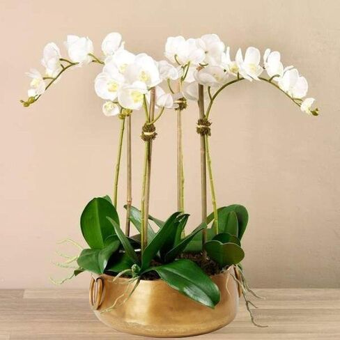 Serene Spaces Living Decorative Gold Iron Handi Bowl with Handle: Large Centerpiece in Traditional Indian Style for Home, Diwali, Potpourri, Single, 3.75" Tall & 9" Diameter in Saudi Arabia