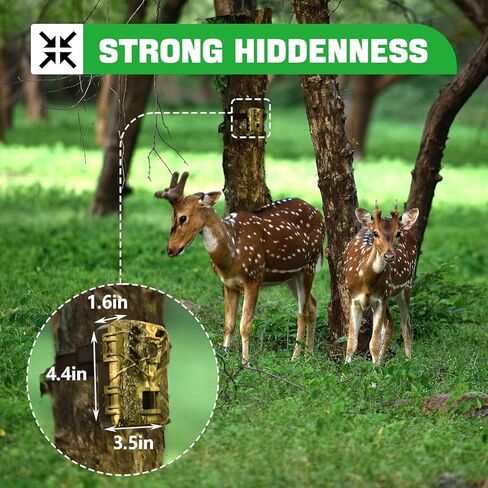 كاميرا Trail ترسل الصورة إلى الهاتف الخلوي، كاميرا WiFi صغيرة بتنسيق فيديو MP4، كاميرا Trail مع التحكم في التطبيق، كاميرات الألعاب مع رؤية ليلية متحركة مقاومة للماء IP66 in Kuwait