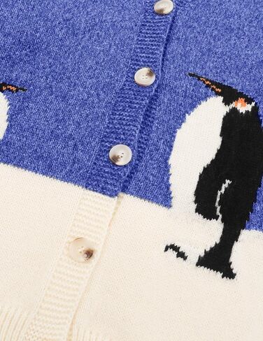Aelfric Eden Cardigan Sweater Open Front Knit Cardigans Penguin Graphic Color Blocking Sweaters Y2k 2025 Outfits in Saudi Arabia