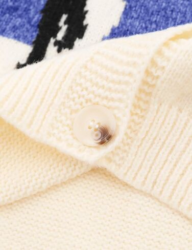 Aelfric Eden Cardigan Sweater Open Front Knit Cardigans Penguin Graphic Color Blocking Sweaters Y2k 2025 Outfits in Saudi Arabia