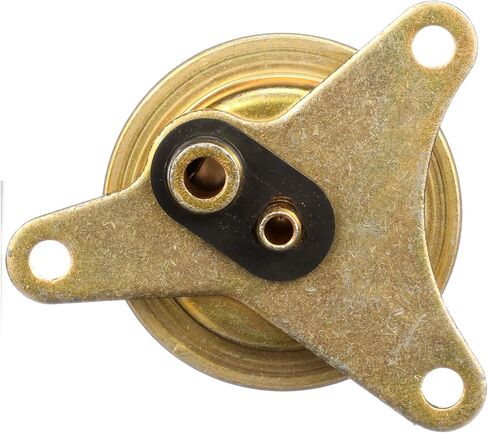Delphi FP10391 Fuel Pressure Regulator in Saudi Arabia