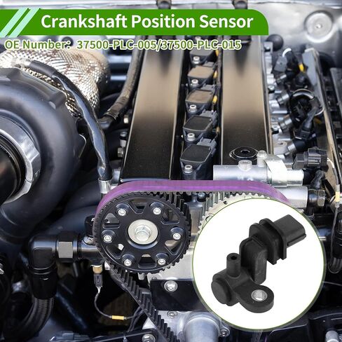 No.37500-PLC-005 Crankshaft Position Sensor for Honda Civic DX, EX, GX, HX, LX 1.7 2001-2005 Sturdy Black Engine Crank CKP Sensor Metal Plastic 1 Pc in Saudi Arabia
