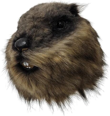 Luxury Furry Animal Groundhog Cosplay Marmot Latex Hood Mask, Halloween Cosplay Costume Mask Props, Adult in Saudi Arabia