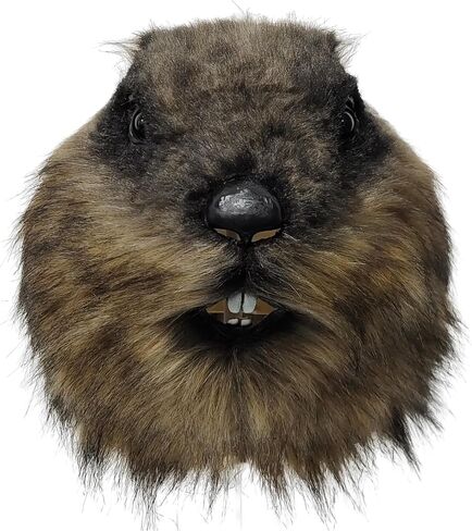 Luxury Furry Animal Groundhog Cosplay Marmot Latex Hood Mask, Halloween Cosplay Costume Mask Props, Adult in Saudi Arabia