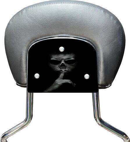 Shhh Quiet Backrest Mounting Plate. Fits Harley Davidson Touring Bikes. Road King Street Glide Road Glide. Mounting Plate Only, Backrest Not Included in Saudi Arabia