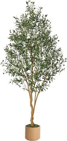 Olive Trees Artificial Indoor, 6ft Tall Faux Silk Plant - Fake Potted Tree with White Planter, Artificial Plants with Natural Wood Trunk and Lifelike Fruits for Home Office Decor, 1 Pack in Saudi Arabia