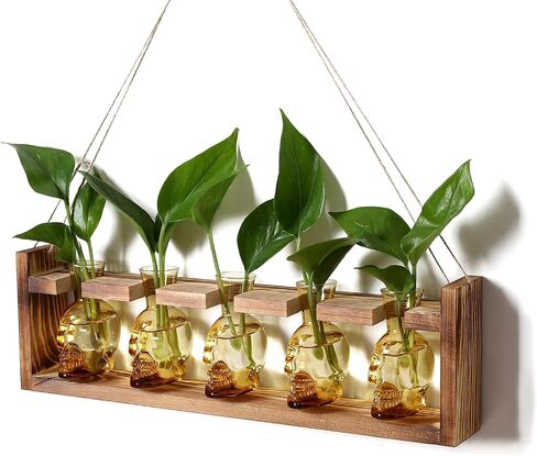 Plant Terrarium Propagation Stations Halloween Skull Planter Vase Skulls Decor with Wooden Stand Gife for Father - 5 Vases in Saudi Arabia