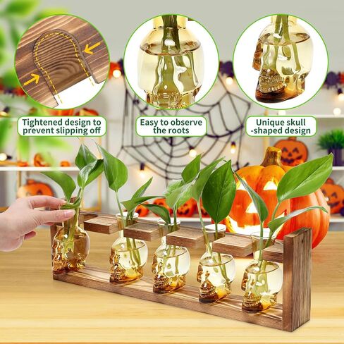 Plant Terrarium Propagation Stations Halloween Skull Planter Vase Skulls Decor with Wooden Stand Gife for Father - 5 Vases in Saudi Arabia