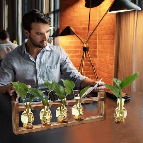 Plant Terrarium Propagation Stations Halloween Skull Planter Vase Skulls Decor with Wooden Stand Gife for Father - 5 Vases in Saudi Arabia