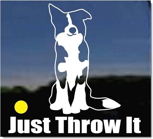 JUST Throw IT | Border Collie Dog Vinyl Decal by NickerStickers® in Saudi Arabia