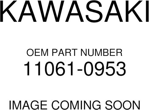 كاواساكي 2015-2020 غطاء رأس حشية البغل 11061-0953 OEM جديد in Saudi Arabia