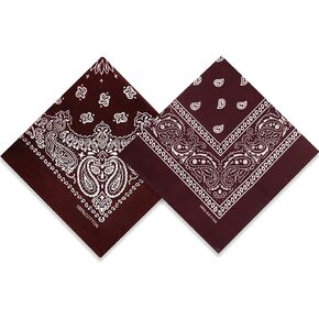 2 Pack Types of Paisley Pattern Bandanas, 22x22 Inches Cotton Bandanas Handkerchief Face Mask for Men & Women