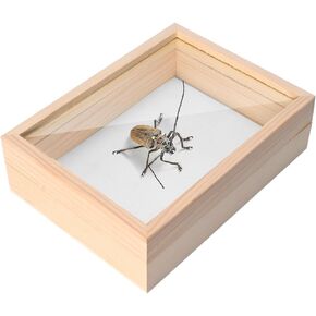 Insect Display Case Bug Display Case Collection Box, Taxidermy Insect Bug Collection Framed in a Wooden Box(7.08x5.31x2.16inch)