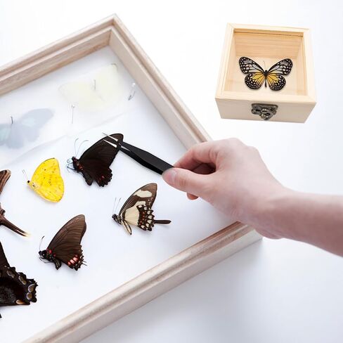 Insect Specimen Tools Kit, 4 Clear Top Wooden Box + 10 Sheets Thin Tracing Paper + 2 EVA Foam Pinning Board + 200 Pins + 2 Tweezers + 1 Scissors Tools for Insect Collectors Bugs Suspension Box in Saudi Arabia