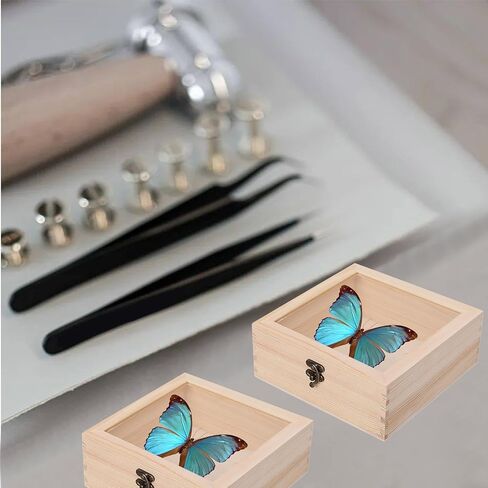 Insect Specimen Tools Kit, 4 Clear Top Wooden Box + 10 Sheets Thin Tracing Paper + 2 EVA Foam Pinning Board + 200 Pins + 2 Tweezers + 1 Scissors Tools for Insect Collectors Bugs Suspension Box in Saudi Arabia