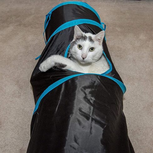 PetLike نفق للقطط للقطط الداخلية قابل للطي منبثق للحيوانات الأليفة أنبوب نظرة خاطفة ثقب المخبأ لعب اللعب للقطط مع الكرة in Kuwait