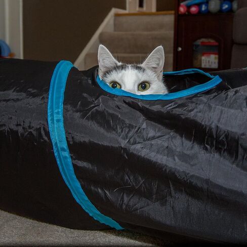 PetLike نفق للقطط للقطط الداخلية قابل للطي منبثق للحيوانات الأليفة أنبوب نظرة خاطفة ثقب المخبأ لعب اللعب للقطط مع الكرة in Kuwait