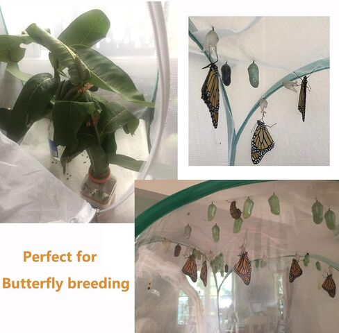 قفص منبثق للحشرات والفراشات - بطول 60.96 سم in Kuwait