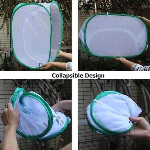 قفص منبثق للحشرات والفراشات - بطول 60.96 سم in Kuwait