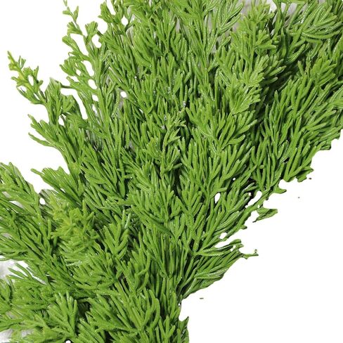 Christmas Wreaths for Front Door Norfolk Pine Wreath, Real Touch Norfolk Pine Wreath, Artificial Green Wreath Garland Faux Greenery Realistic Wreath Holiday Decoration for Christmas Home Decor (1 Pcs) in Saudi Arabia