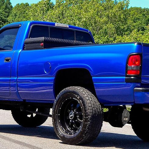 Auto Dynasty Dual Row 16 LED Rear Tail Center High Mount Stop Lamp Third Brake Cargo Light Compatible with Dodge Ram 1500 2500 3500 94-01, Black Housing, Clear Lens in Kuwait