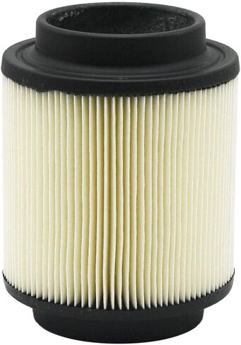 Polaris Off Road Filter Assembly, for specific Sportsman ATV Trail Blazer, Xplorer, Hawkeye and 300 models, Unmatched Filtration, Maximum Horsepower and Performance, Genuine OEM Part - 1253355 in Saudi Arabia