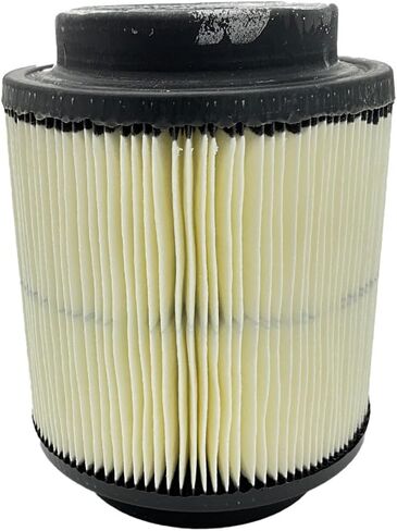 Polaris Off Road Filter Assembly, for specific Sportsman ATV Trail Blazer, Xplorer, Hawkeye and 300 models, Unmatched Filtration, Maximum Horsepower and Performance, Genuine OEM Part - 1253355 in Saudi Arabia