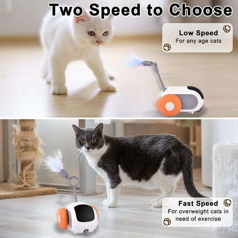 Petmolico Smart Interactive Cat Toy Remote Control Cat Exercise Toys for Bored Indoor Electronic Cat Toys Blue in Kuwait