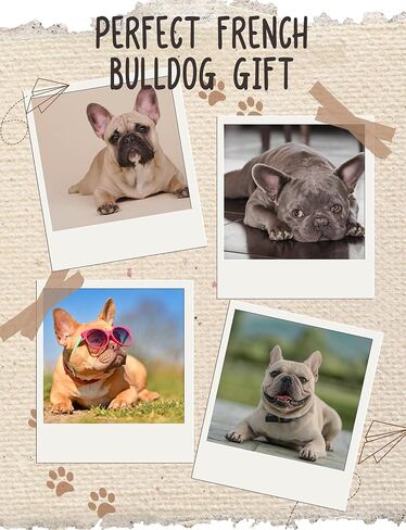 جوارب InnoBeta French Bulldog Gifts للنساء والرجال - هدايا لمحبي الكلاب - للجنسين in Saudi Arabia