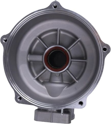 HOLDWELL Final Drive Rear Differential 41300-HN6-010 41300HN6010 Compatible with Honda 2001-2007 Sportrax 250 TRX250EX 2x4 in Saudi Arabia