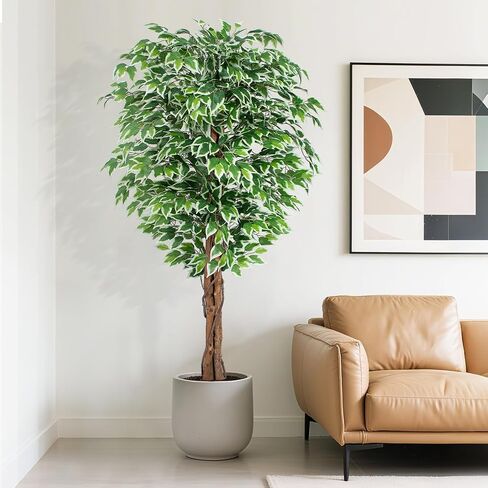 أشجار صناعية بطول 6.2 أقدام مع 3 جذوع منحنية طبيعية، شجرة صناعية كثيفة بطول 74 بوصة لديكور المنزل في الأماكن المغلقة، شجرة فيكوس وهمية خضراء نابضة بالحياة قطعة واحدة in Kuwait