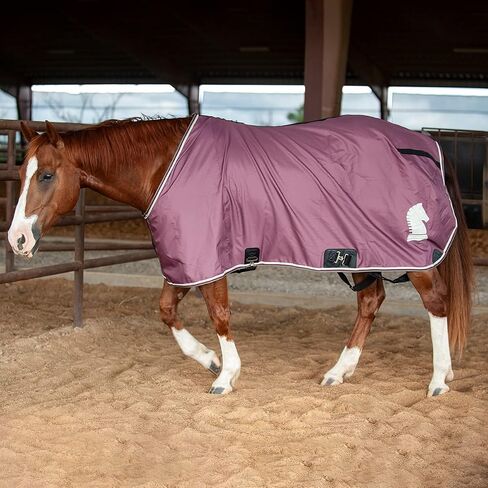 Classic Equine Classic Stable Sheet with Closed Front, Black, Medium in Kuwait