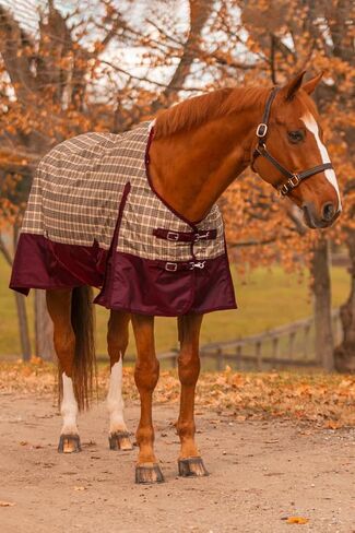 Turnout Sheet for Horses Black Label - Size 80 Plaid in Saudi Arabia