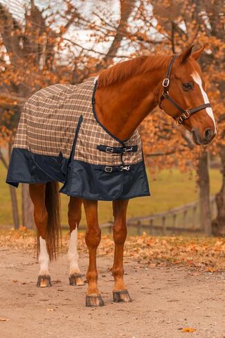 Turnout Sheet for Horses Black Label - Size 80 Plaid in Saudi Arabia