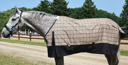 Turnout Sheet for Horses Black Label - Size 80 Plaid in Saudi Arabia
