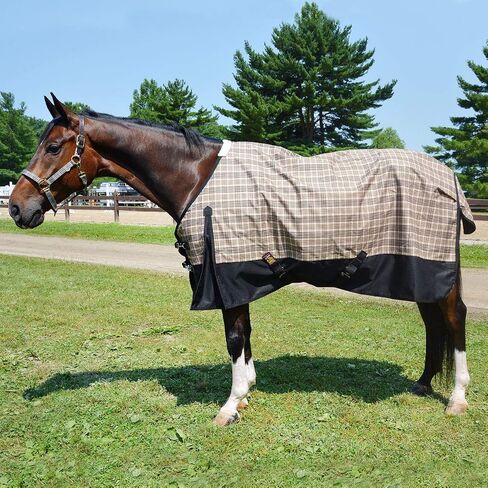 Turnout Sheet for Horses Black Label - Size 80 Plaid in Saudi Arabia