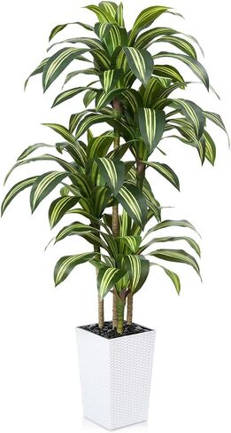 شجرة Dracaena الاصطناعية بطول 5 أقدام - شجرة صناعية مقاومة للأشعة فوق البنفسجية مع زارع مستدق كبير وحصى - نباتات وهمية طويلة داخلية وخارجية، نبات أرضي بوعاء لديكور الشرفة في غرفة المعيشة المنزلية، VN127 in Kuwait
