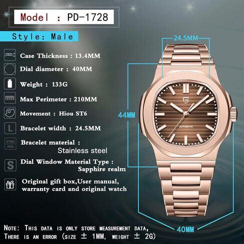 Pagani Design Men's Automatic Mechanical Watch 1728 - Polygonal Dial, Sapphire Crystal, 100m Water Resistant, Stainless Steel Bracelet in Saudi Arabia