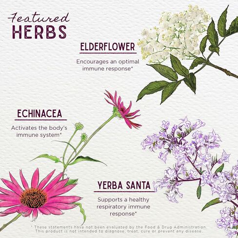 WishGarden Herbs Kick-Ass Immune Activator - Herbal Immunity Support Supplement for Adults, Plant-Based Immune Booster with Echinacea & Goldenseal, Rapid Immunity Boost Formula, 2oz in Saudi Arabia