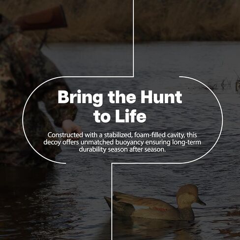 Avian-X Power Swimer Pintail Drake Motion Duck Decoy in Kuwait