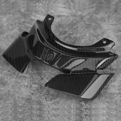 Taillight Guard Cover, Carbon Fiber Motorcycle Taillight Cover Rear Taillight Guard Cover Motorcycle Accessories Replacement Fit for MT-10/FZ-10 2016-2018, Black in Saudi Arabia