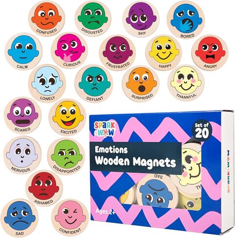 Spark & Wow Wooden Magnets, Transport in Saudi Arabia