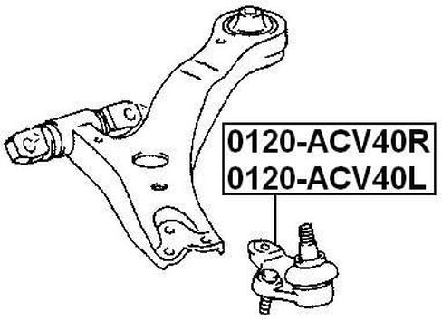 Right Lower Ball Joint Febest 0120-ACV40R Oem 43330-39775 in Saudi Arabia